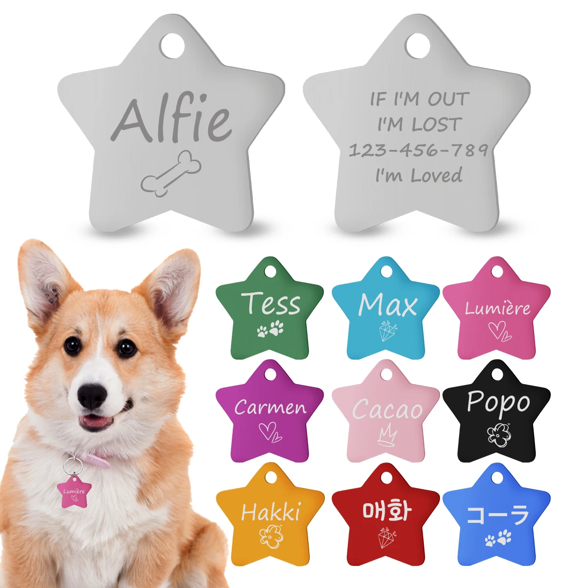 Engraved Dog Id Tag Personalized Pet Collar Pentagram Pendant Name Number Anti-Lost Pet Id Tag 1005009310979306