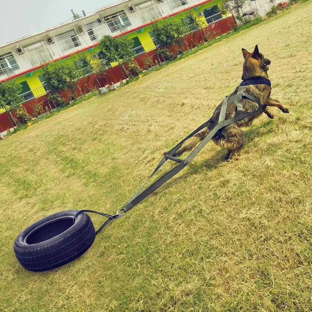 Dog Pull Training Leash, Dog Sled Safety Belt for Large Working Dogs 1005009319062816