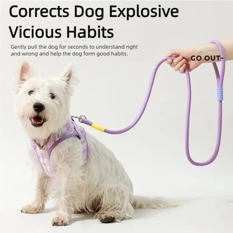 Dog Leash, Pet Walking Leash, Outdoor Dog Dopamine Contrasting Leash, Pet Supplies 1005009320738053