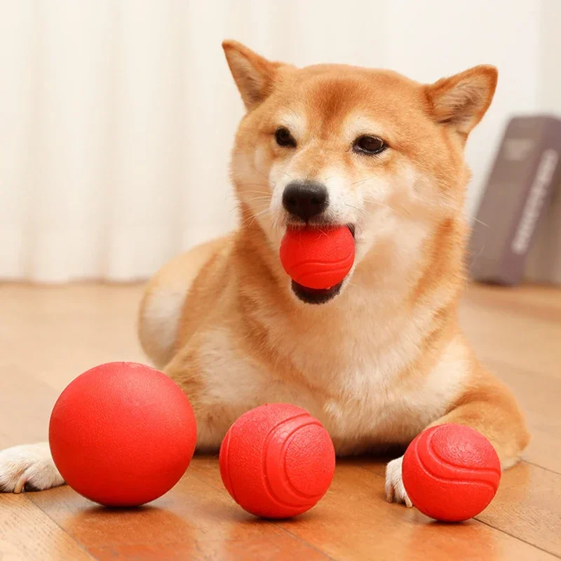 Durable Bouncy Dog Toy for Pets Chew Proof Rubber Ball S to L Size Training Interactive Chew 1005009330194662