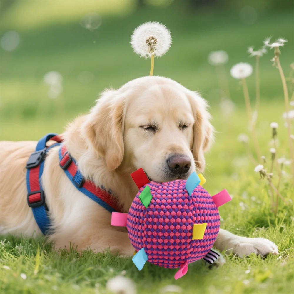 Interactive Ball Dog Toy Suitable for Chewing Training, Stress Relief, Bite Sound Resistance 1005009331085966