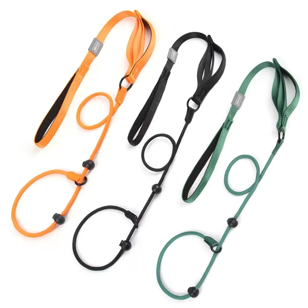 Nylon Slip Lead Dog Slip Leash and Collar Dog Training Leash with Double Handle Heavy Duty Dog Lead 1005009331695051