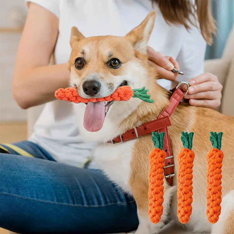 Carrot Dog Bite Rope Pet Toy Safe Durable Braided Chew Toys Resistant Puppy Molar Cleaning Teeth 1005009331832345