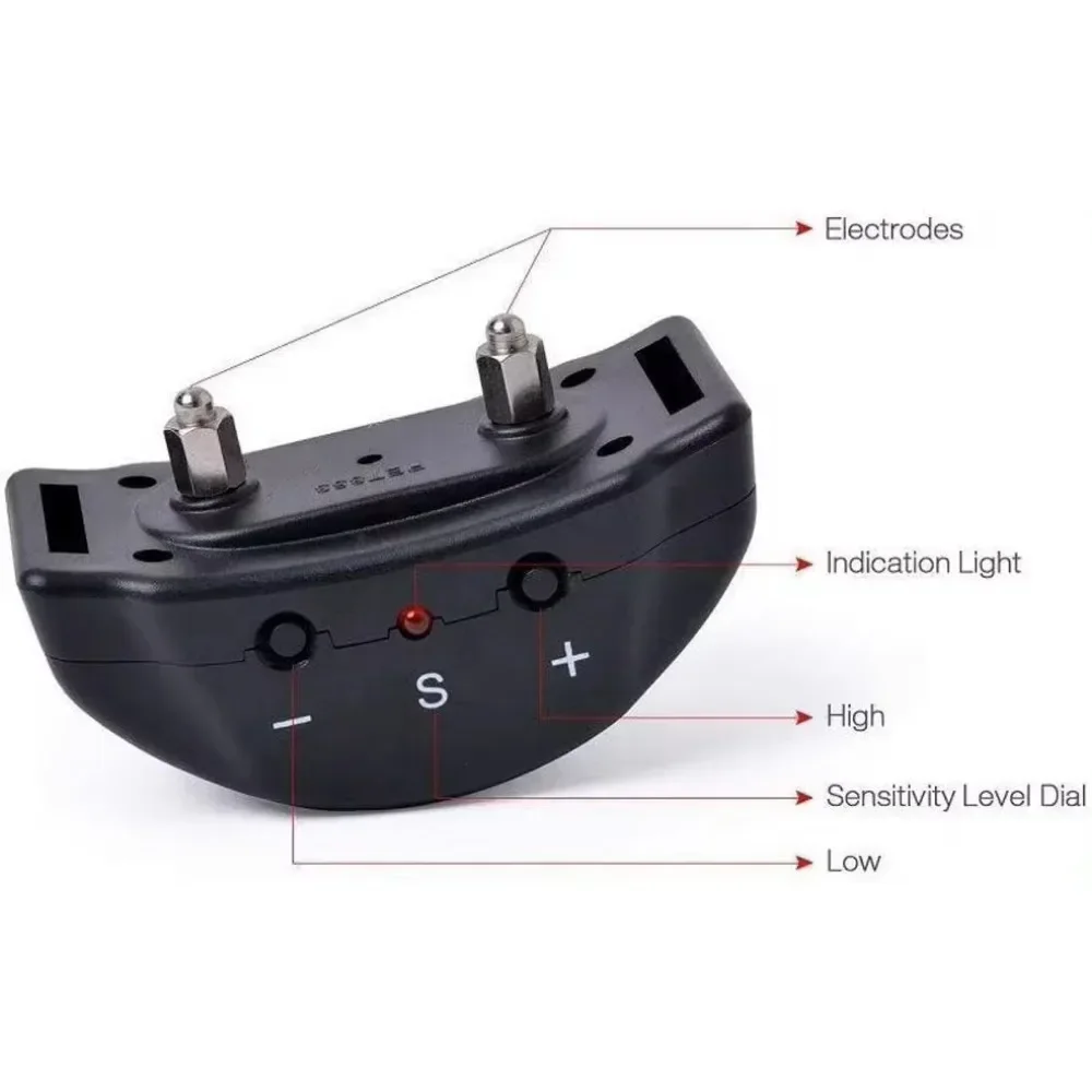 View 5