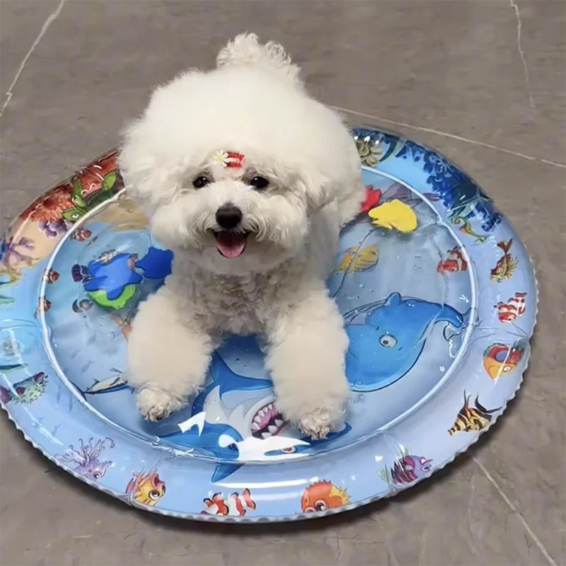 View 5