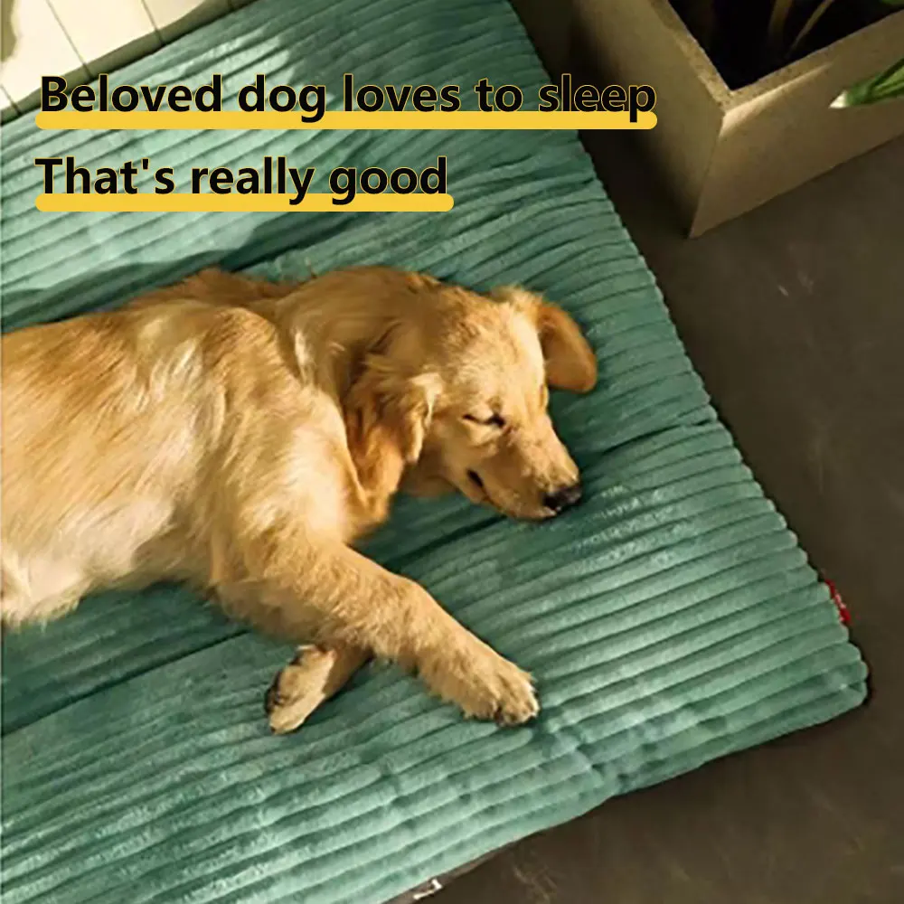 Pet Mat Dog Bed Detachable & Washable PP Cotton Dog Mat Soft & Comfortable Dog Sleeper 1005009393564295