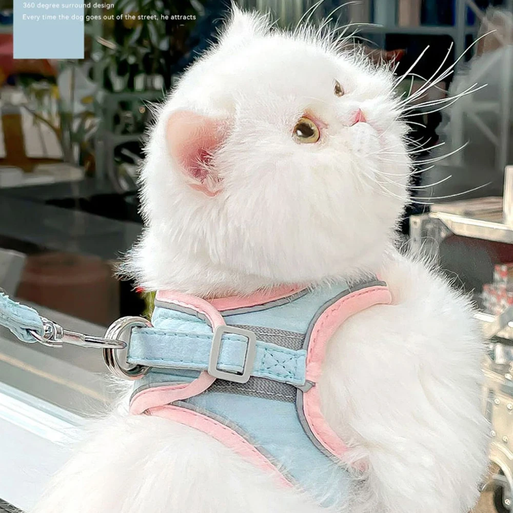 Cat Dog Noctilucent Harness with Lead Leash Adjustable Vest Polyester Mesh Breathable Harnesses 1005009395543868