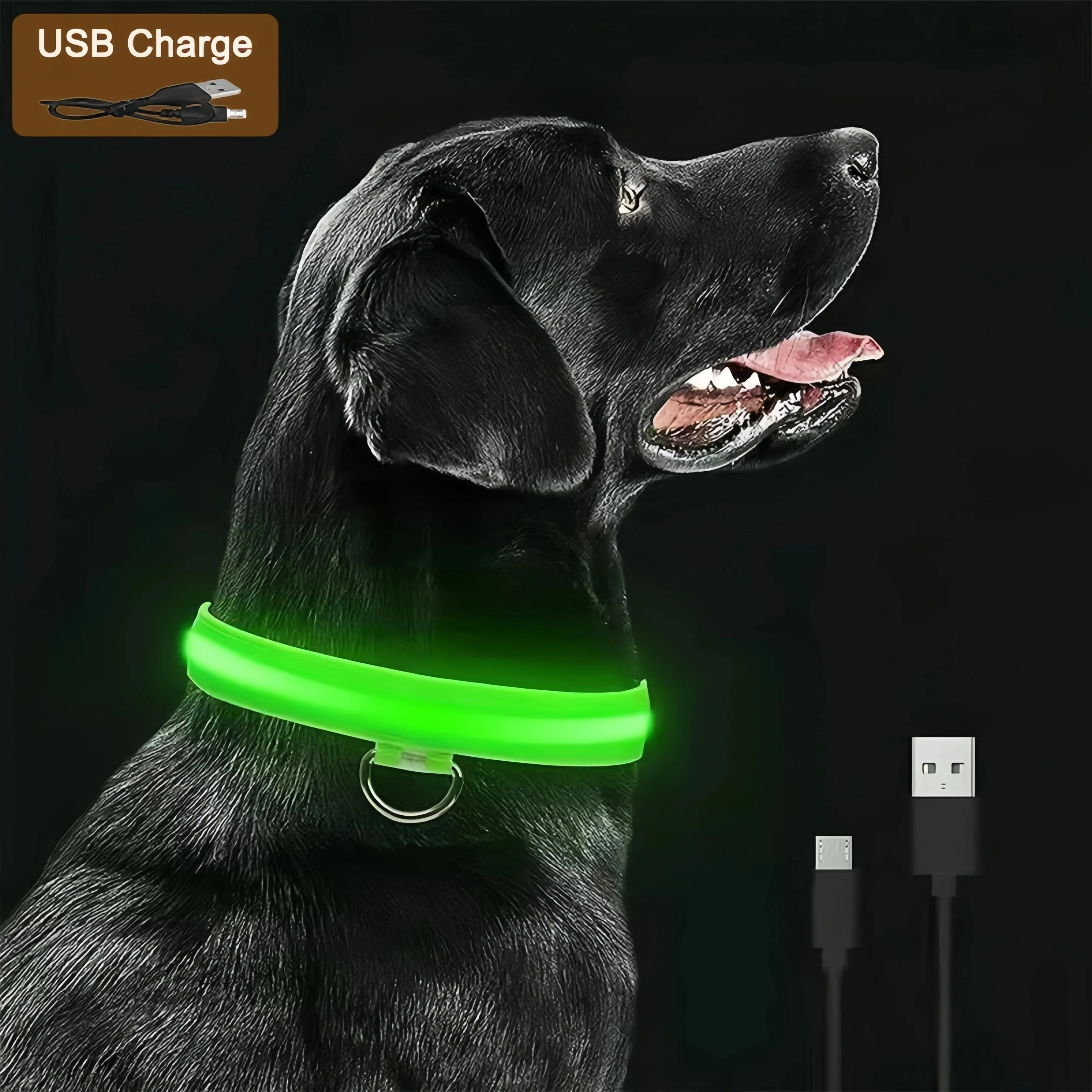 LED Dog Collar Rechargeable USB, Light Up Glow in Dark Safety Pet Collar 1005009416196894