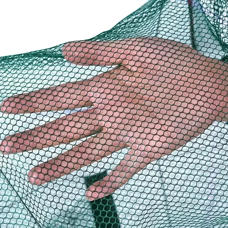 View 4