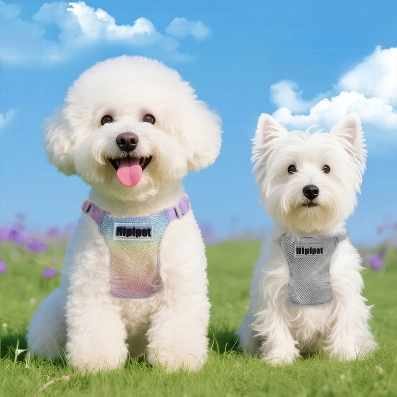 Adjustment Dog Vest Harness Leash Set Puppy Escape Proof Chest Strap Small Breed Walking Outdoor 1005009455176505
