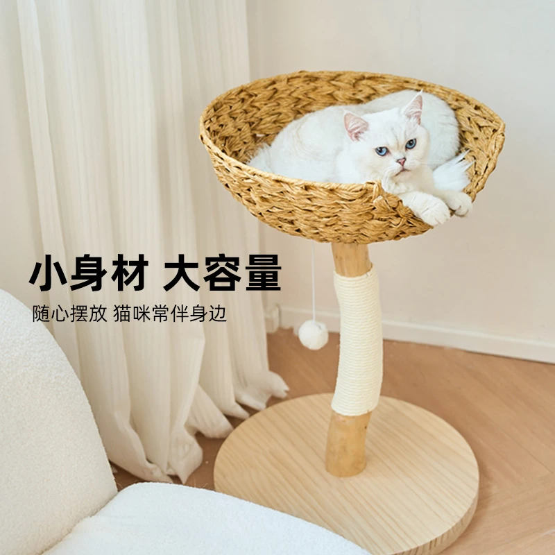 Pet Cat Tree Cat Climbing Frame Small Small Apartment Solid Wood Rattan Wind Summer High Value 1005009458603497