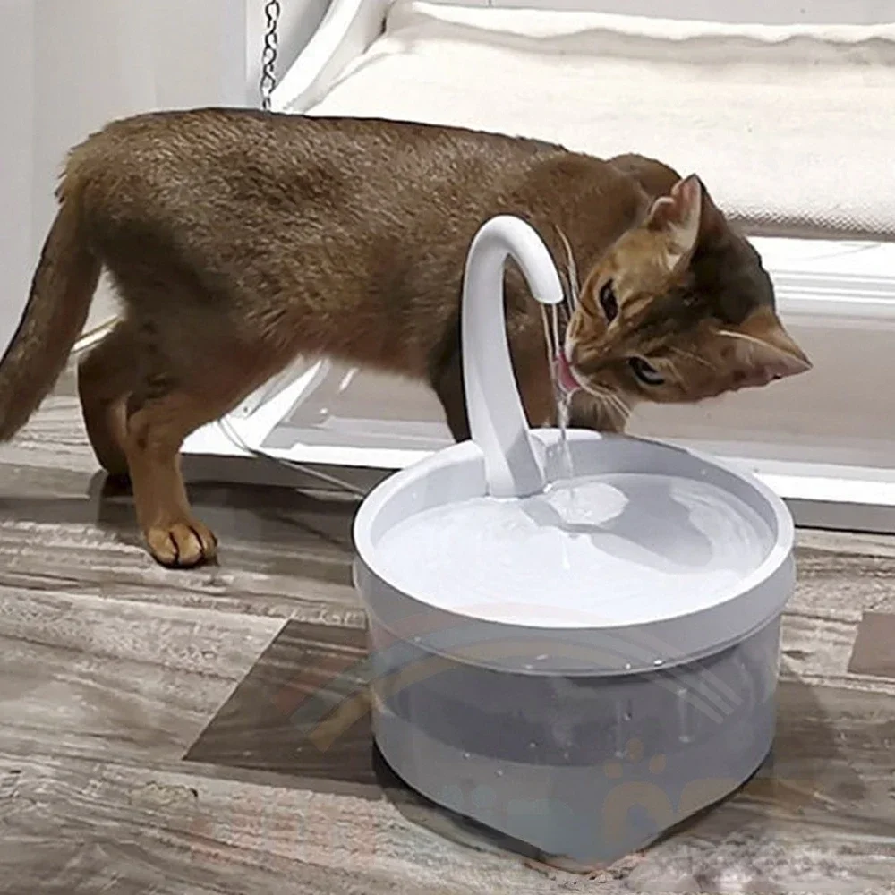 Automatic Water Dispenser Filter for Cats Drinking Fountain, 2L, LED Blue Light, USB Powered 1005009461120285