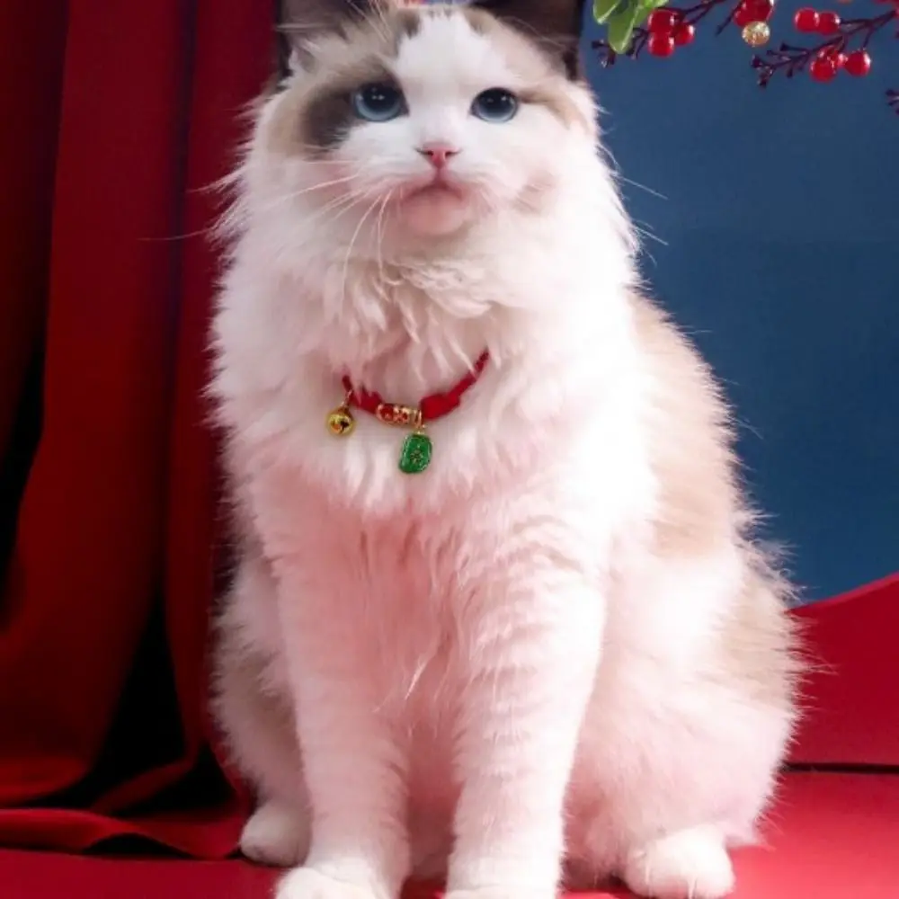 Fashion Handmade Pet Bell Necklace Chinese Style Cute Braided Cat Collar Adjustable Puppy Collar 1005009464782478