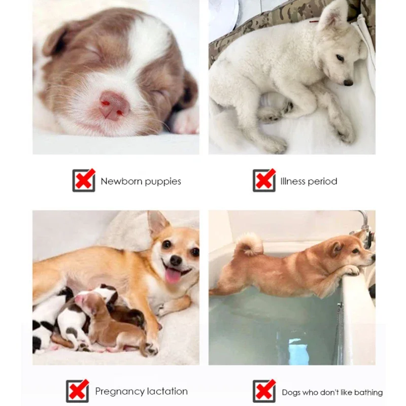 View 3