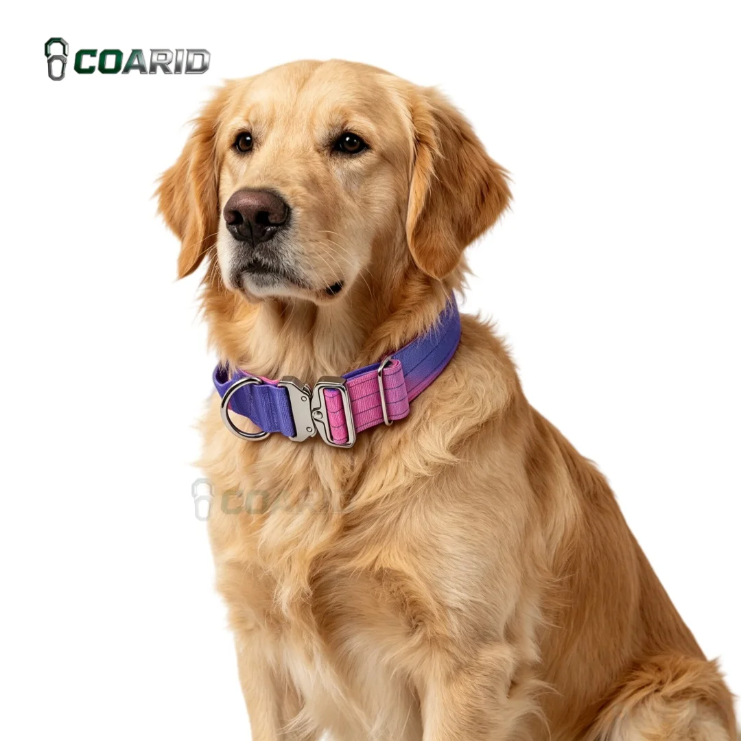 Gradient Dog Collar Nylon Reflective, Adjustable Lightweight Durable Pet Collar 1005009495136407