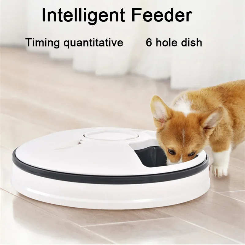 6 Meal Trays, Digital Timer, Portion Control, with Voice Recorder 1005009500380420