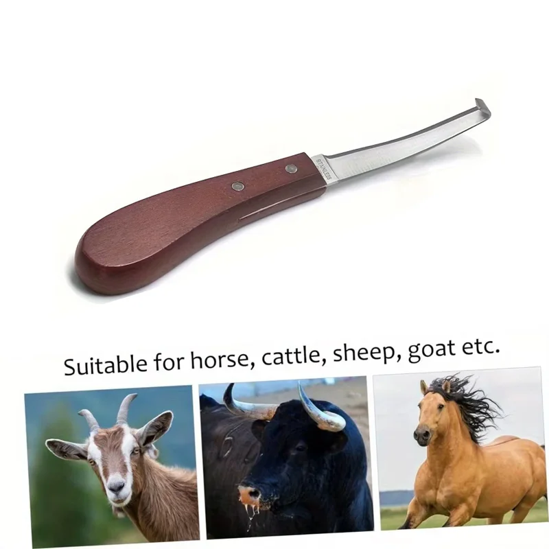 1Pc Double Edge Blade Hoof Trimming Knives Horse Hoof Knife Stainless Steel With Wooden Handle 1005009545794875