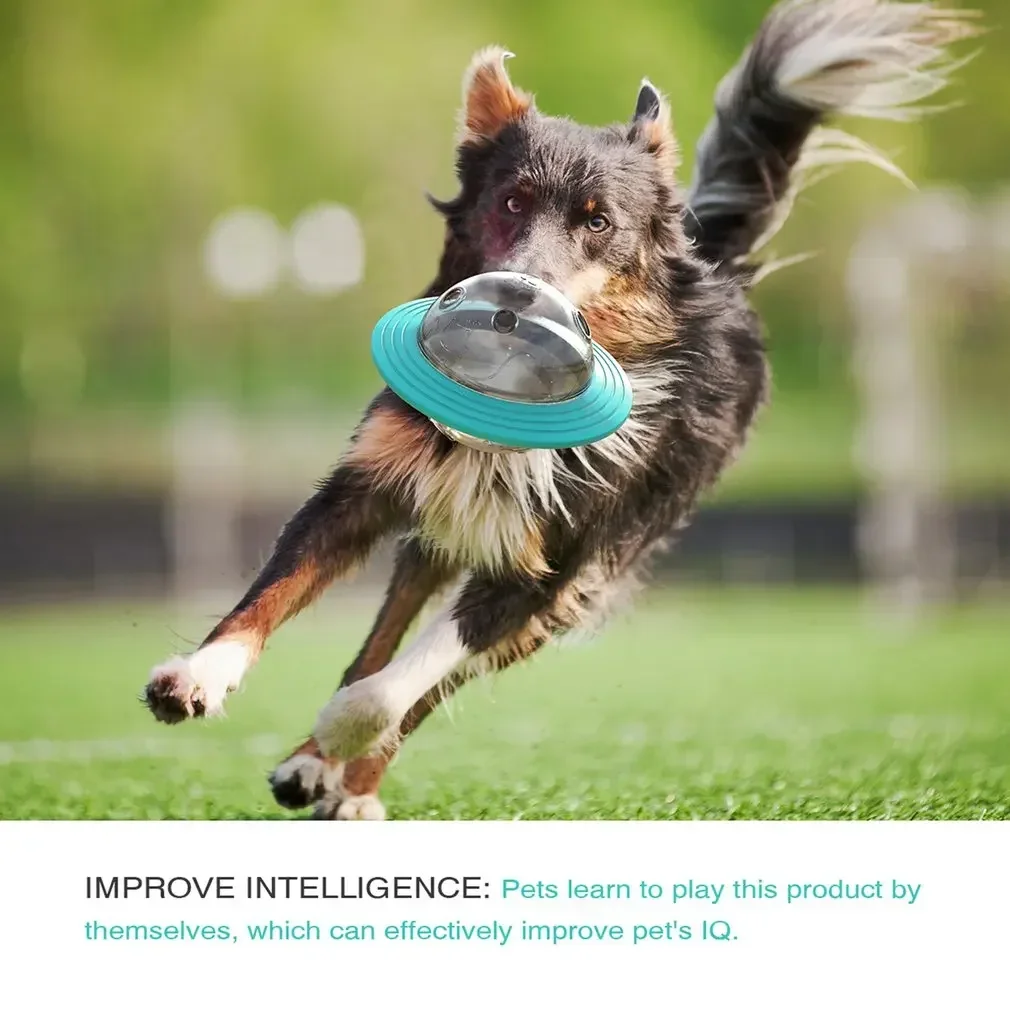 Anti Choke Puzzle, IQ Training Toy, Slow Food Feeder Ball, Chew Toy 1005009567634723