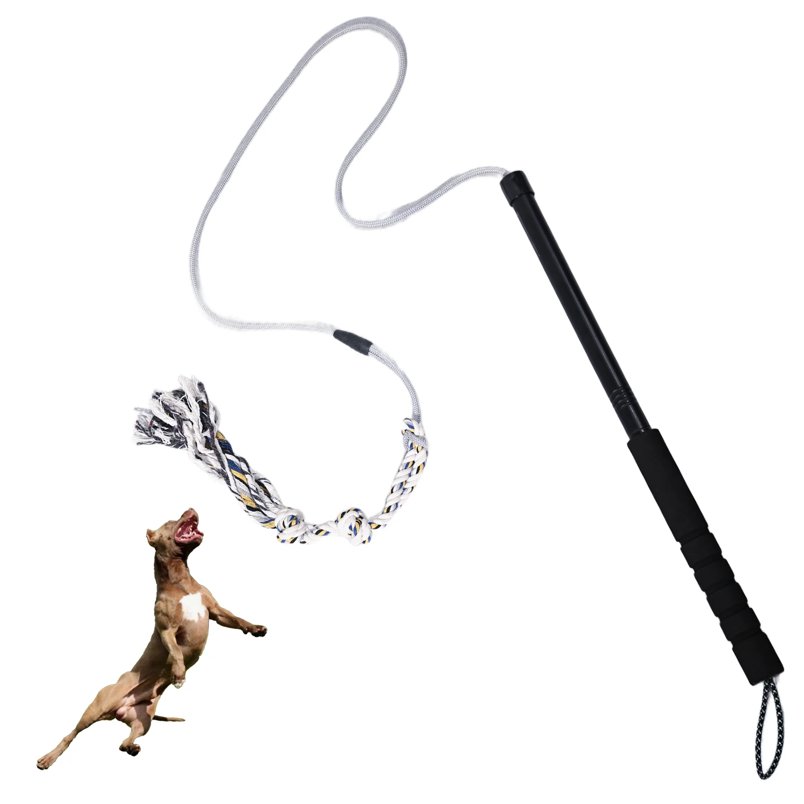 Flirt Pole for Dogs Interactive Dog Toys Durable Heavy Duty Dog Suitable for Small 1005009578994844