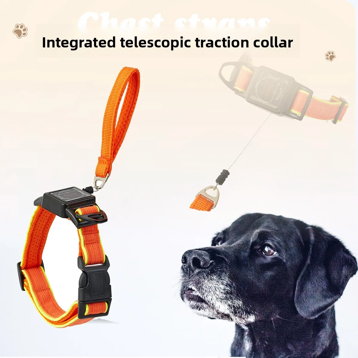 New Automatic Retractable Traction Collar Integrated Retractable Rope Dog Neck Ring Convenient 1005009579786246