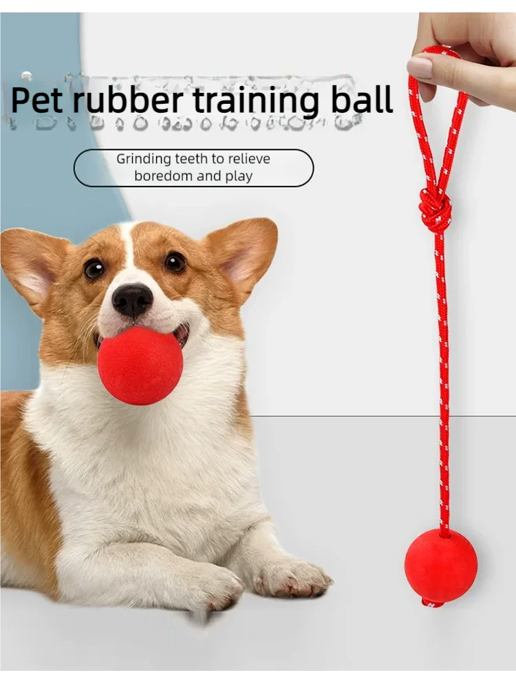 Indestructible Dog Ball Pet Training Dog Toy Puppy Tug Balls Toys Pet Chew Toys Solid Rubber Balls 1005009594485264