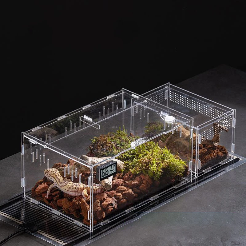 Terrarium for Reptile Breeding, Clear Acrylic Cage for Insects, Lizards, Scorpions, Spider 1005009605729667