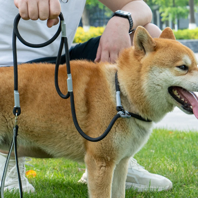 No Pull Dog Training Leash Slip Chain Lead Strong Double Handle Nylon Rope Medium Large Dogs Puppy 1005009607135577