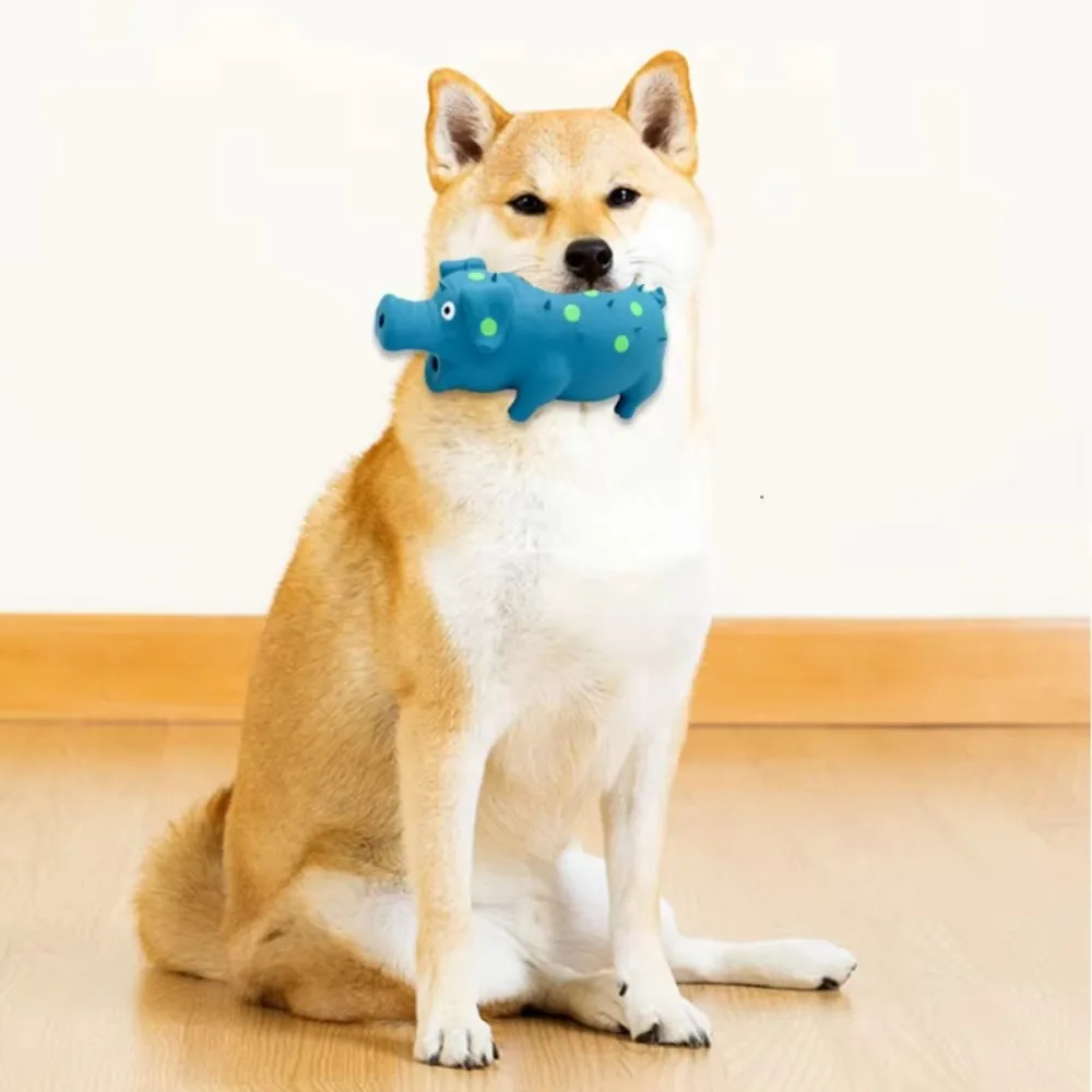 Fun Grunt Pig Dog Squeaky Toy with Sound Squeaker Durable Latex Dog Chew Toys Soft Latex Self Play 1005009611617906