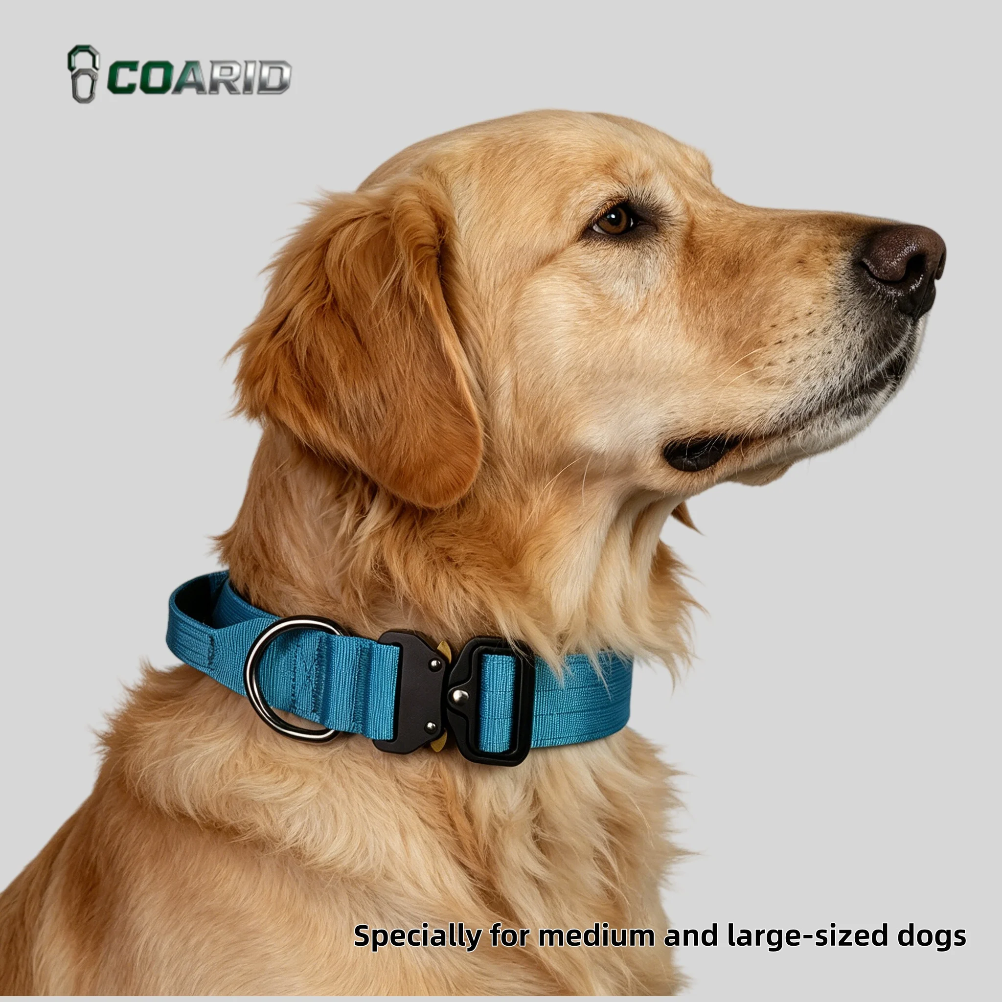 Padded Tactical Dog Collar Heavy Duty 1005009614705937