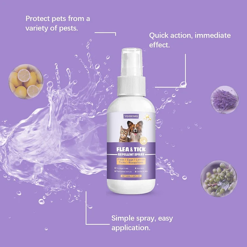 View 4
