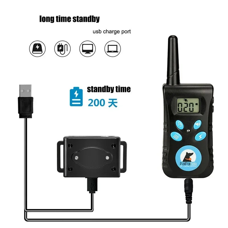 View 4
