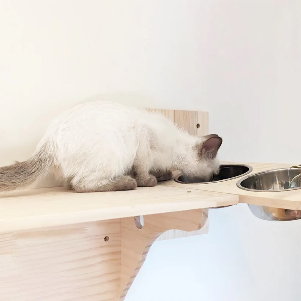 Cat Wall Furniture Bowl Feeding Rack Stainless Steel Double Dog-Proof Station Suitable for Cats 1005009639447974