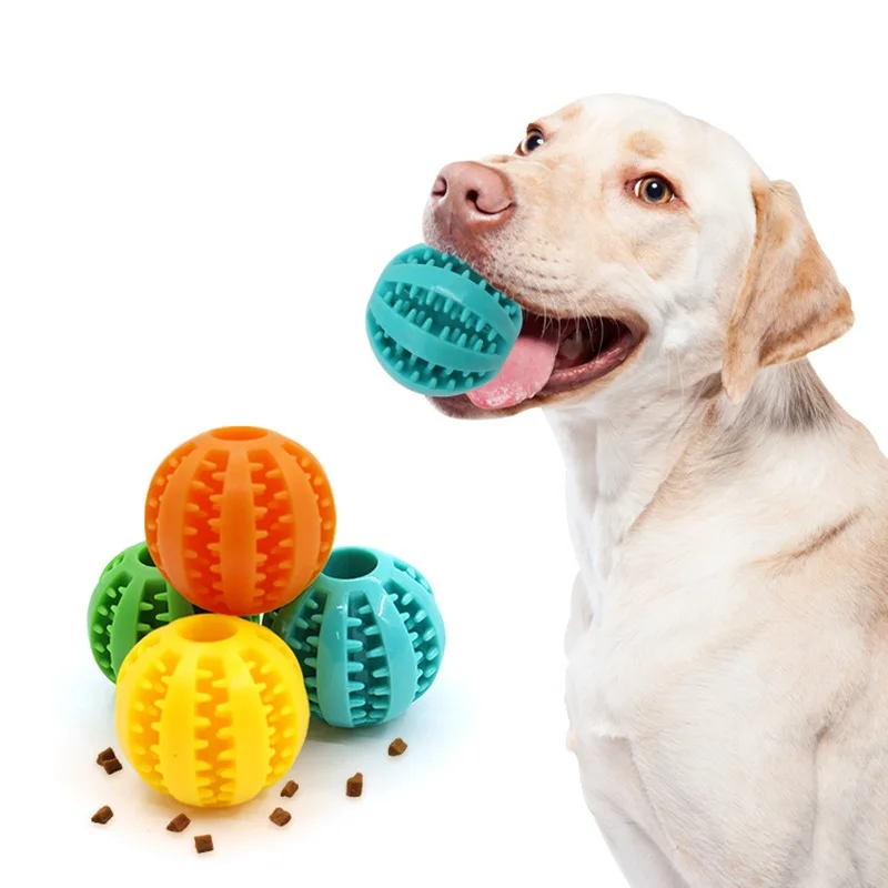 Dog Toy Ball Interactive Rubber Balls Puppy Chewing Toys Pet Tooth Cleaning Ball Cats Pets Food 1005009654525629