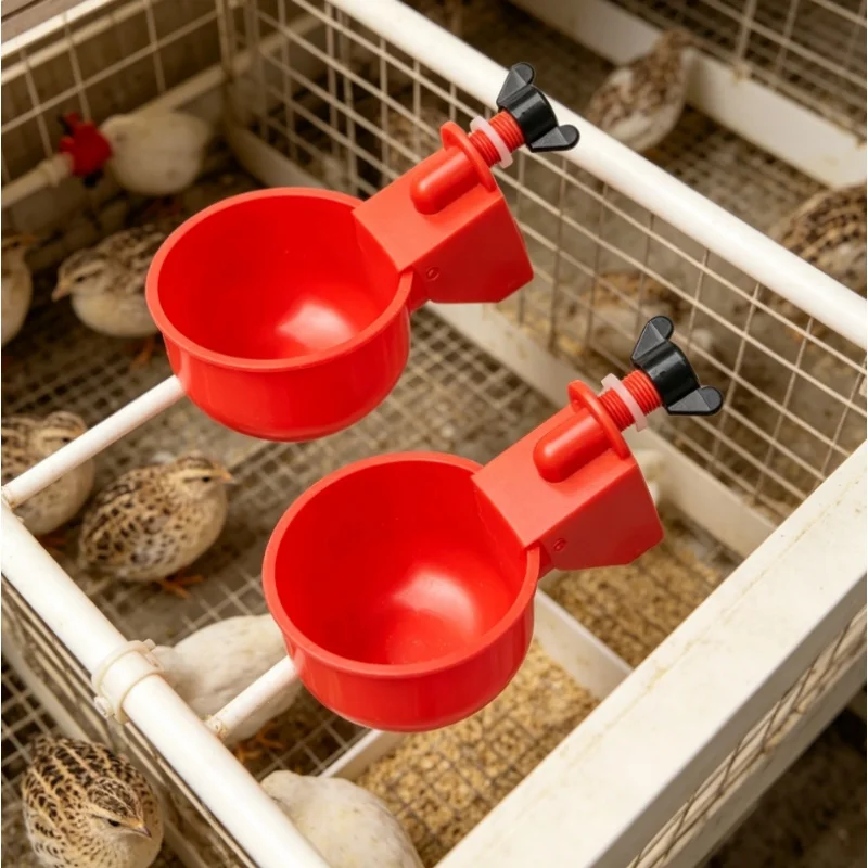 2/10Pcs Poultry Automatic Water Dispenser Chicken Drinking Bowl Pigeon 1005009655321094