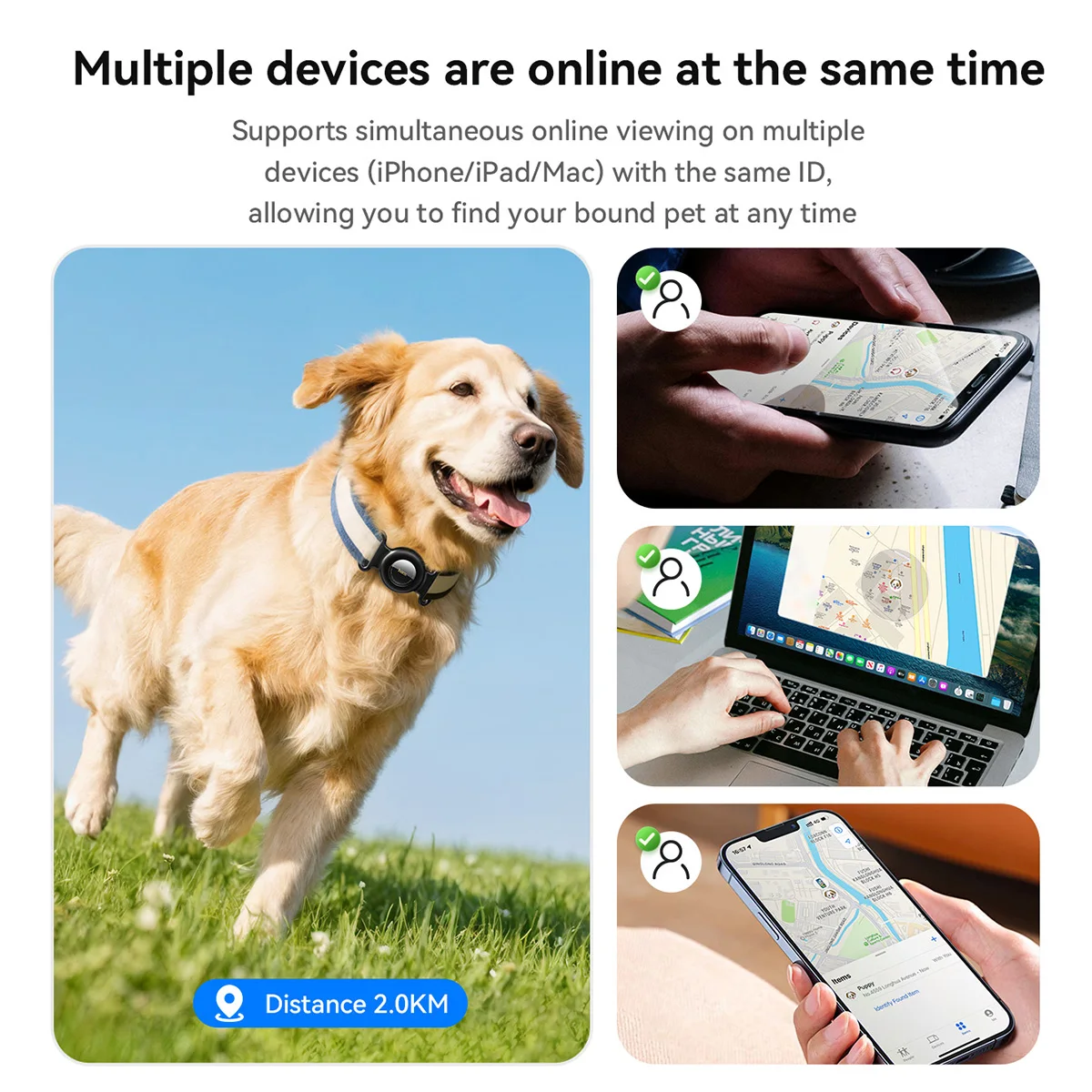 View 2