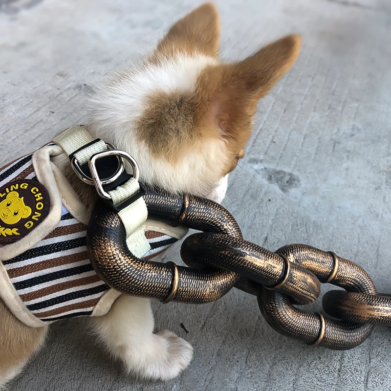 Creative Dog Leash Funny Dog Chain Long Puppy Lead Big Pet Dogs Toy Chain Accessory Harness Leash 1005009667339933