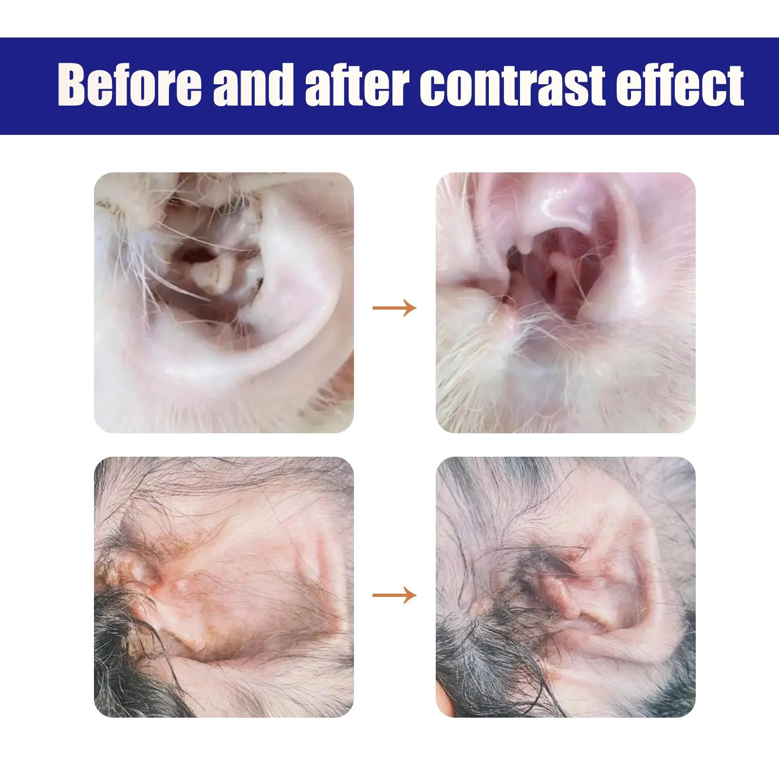 View 3