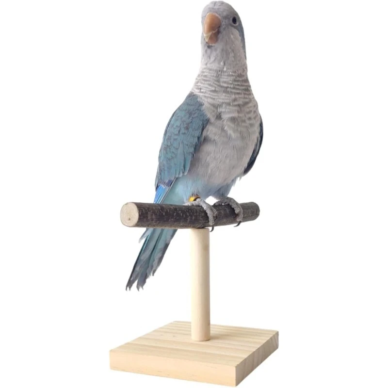 Bird Perch Stand Portable Bird Training Tabletop Platform Interactive Parrot Toys 1005009691236184