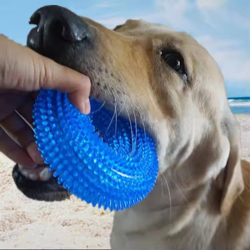Dog Chew Toy Durable Squeaky Thorn Ring Interactive Sound Training Natural TPR Rubber Teeth 1005009697209850