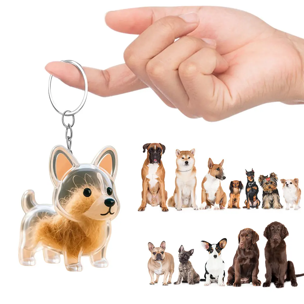 Dog Hair Storage Pendant Transparent Pet Memorial Charm Resin Capsule With Key Ring for Pet Lover 1005009698485074