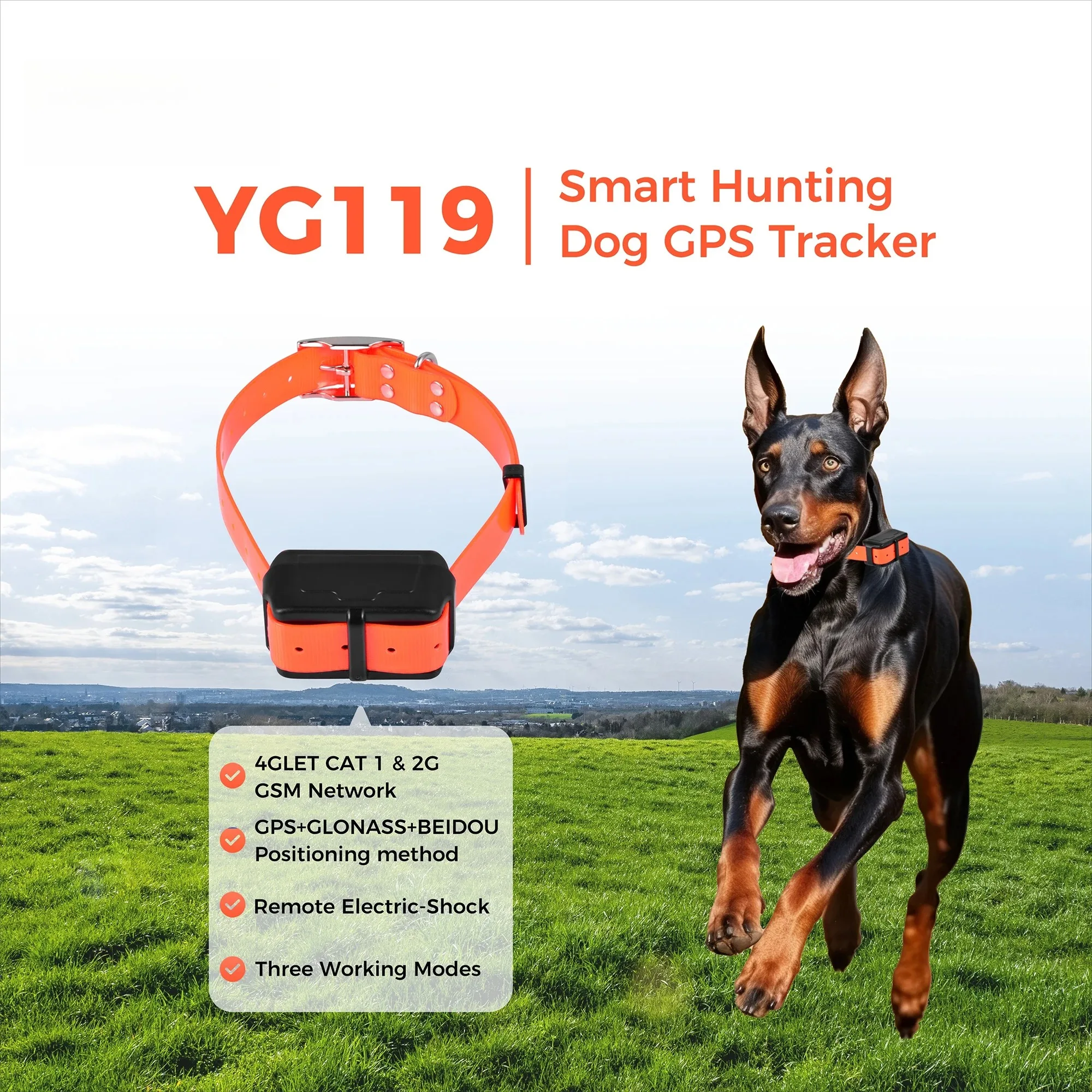View 2