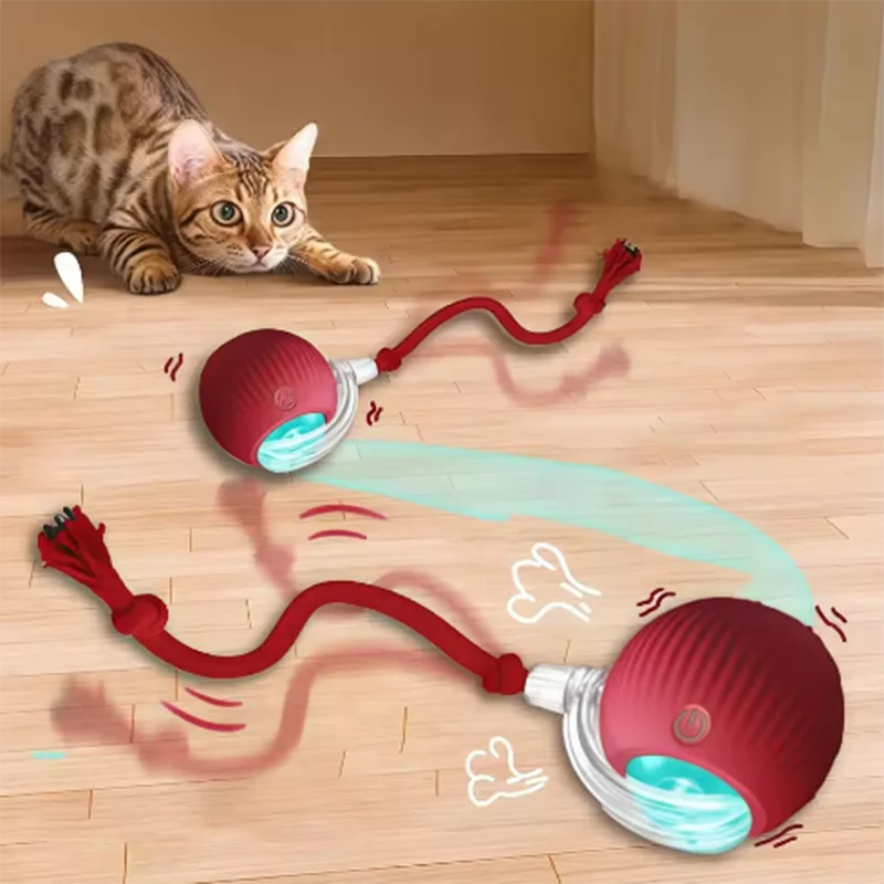 Hot cat toys are automatically teasing cat balls and self-exciting cat sticks and ticks and 1005009714104549