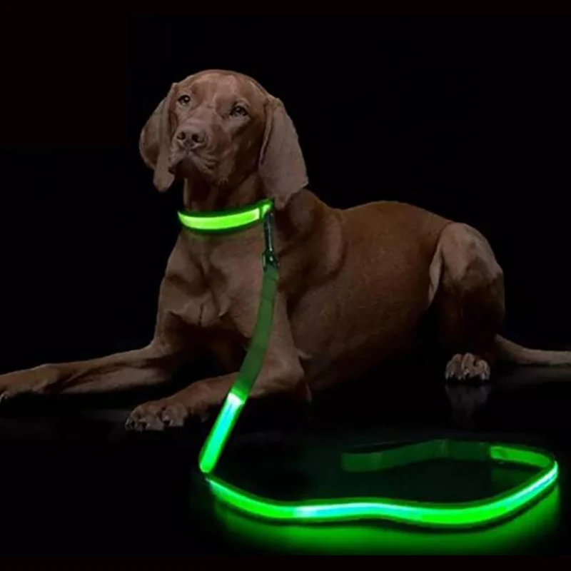 LED Light Up Dog Leash Luminous Rope Lead for Safety Flashing Glowing Collar Harness Electronic Pet 1005009715160194