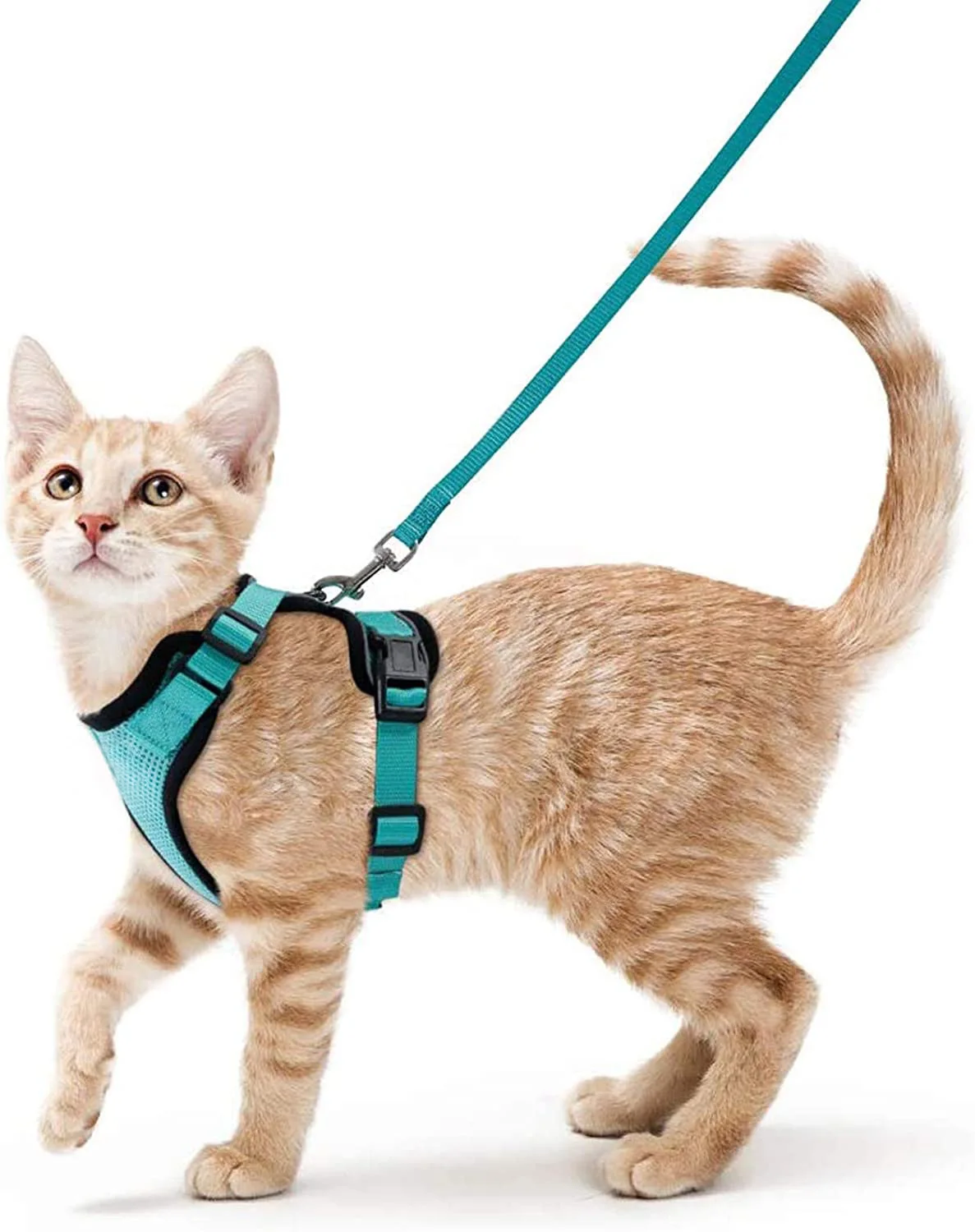Cat Harness and Leash for Walking, Escape Proof Soft Adjustable Vest Harnesses for Cats, EasyControl 1005009726419582
