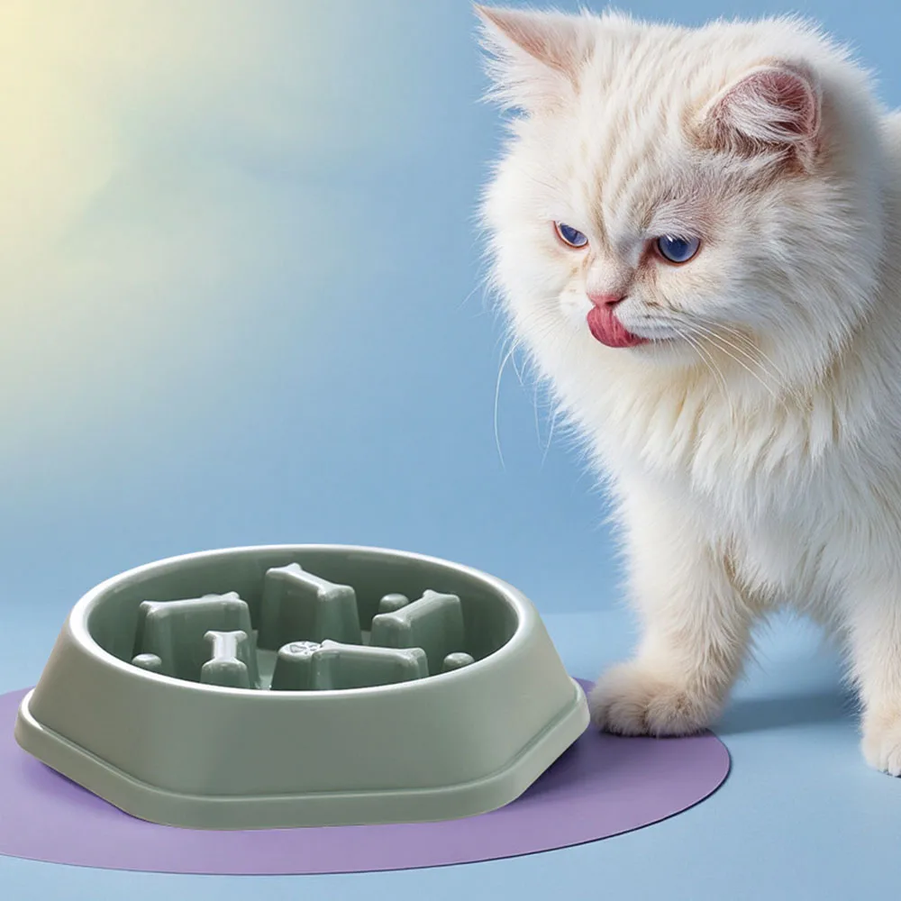 Slow Feeder Bowls for Cats Dogs, Small Breed Pet Anti-Choking Food, Non-Slip Dog Cat Feeder 1005009729437964