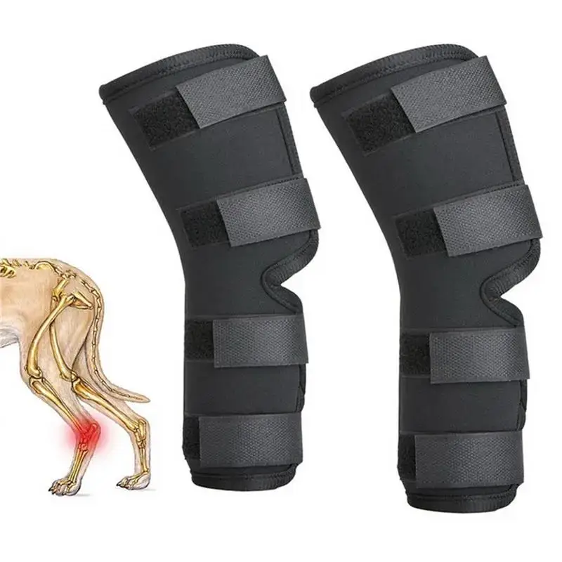 1Pair Pet Knee Support Braces – Hock Joint Wraps for Dog Leg Injury Recovery & Mobility Protection 1005009732772682
