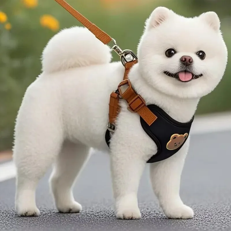 Pet Dog Harness and Leash Set for Small Medium Dogs & Cats Breathable Adjustable Puppy Vest 1005009737019292