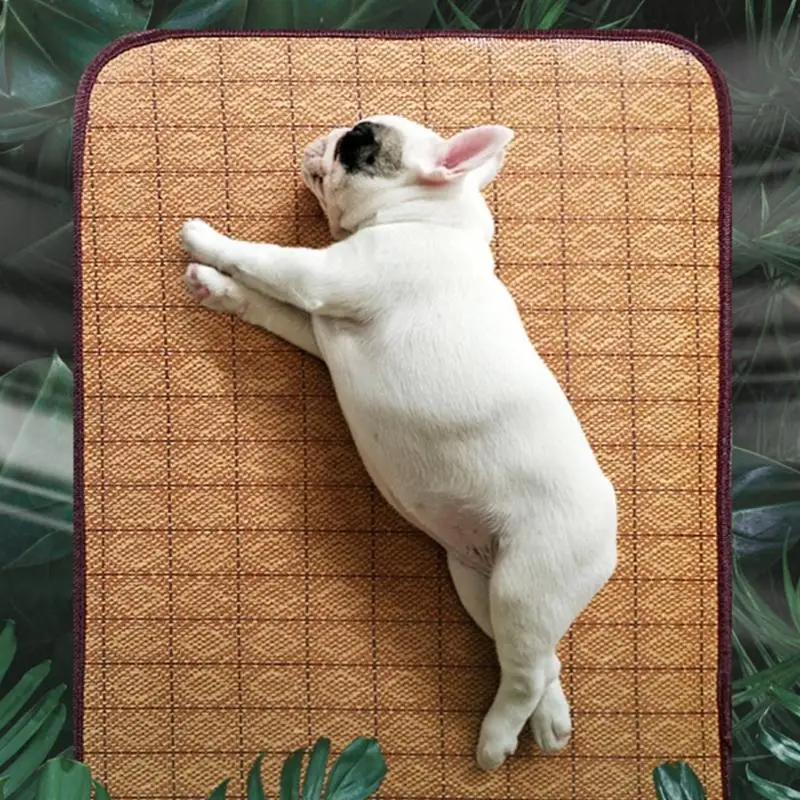 Cats Bed Soft Cushions for Small to Large Cats Bed Cooling Pad Portable Reversible Mat Pet 1005009742091105