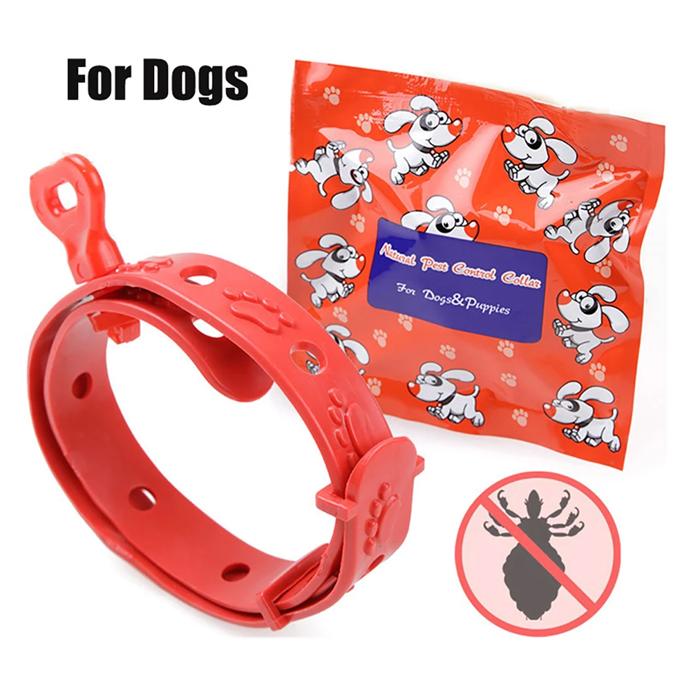 1pc Adjustable Collar, Soft & Comfortable Safe Buckle, Breathable Material 1005009742143126