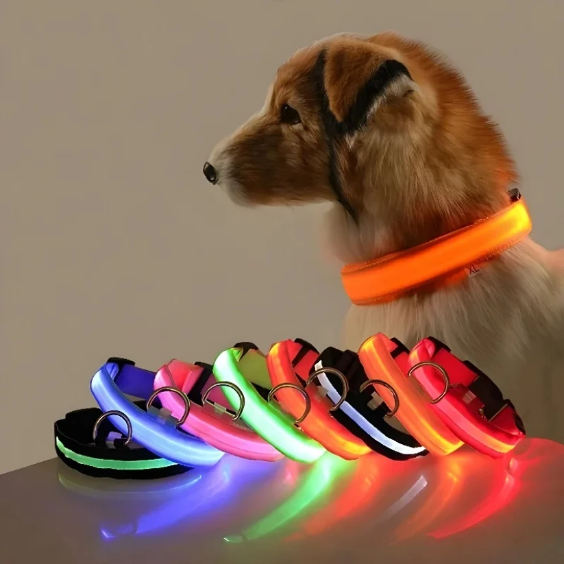 Dog Collar Nylon LED Night Safety Flashing Glow In The Dark Pet Dog Leash pet Dogs Luminous 1005009751703982